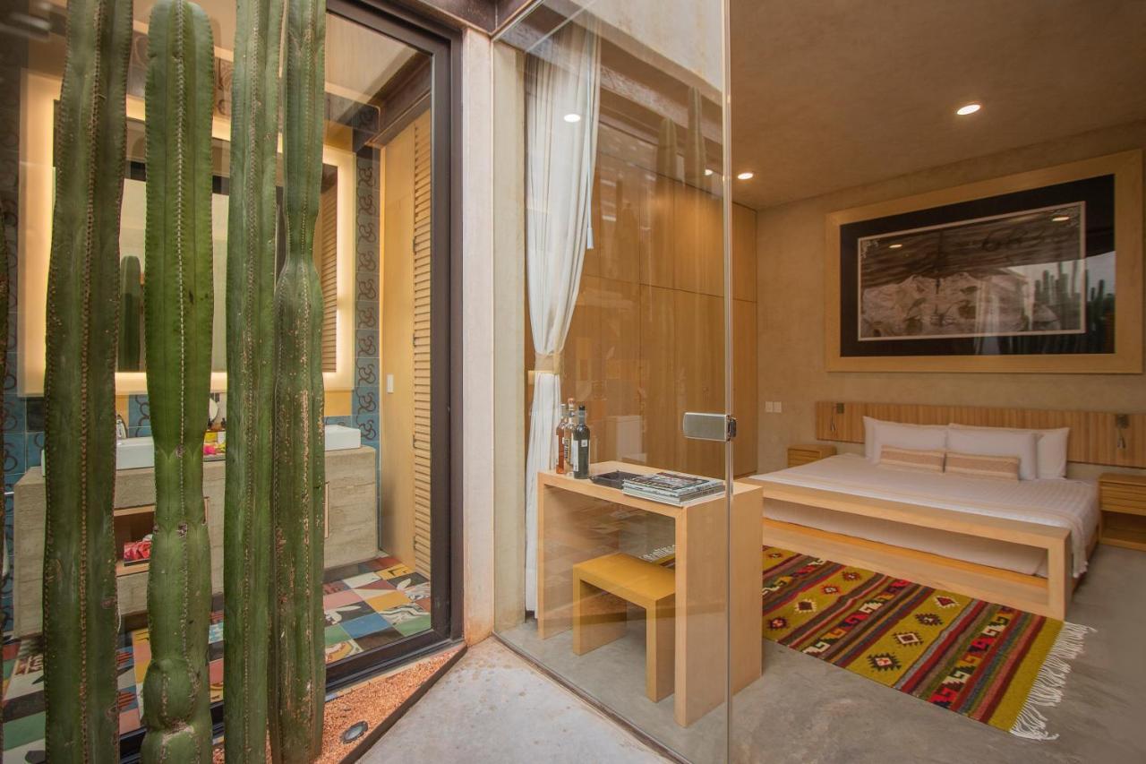מלון Oaxaca Casa Carmen Reforma מראה חיצוני תמונה