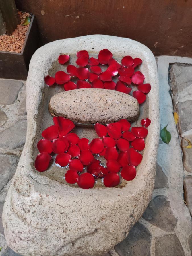 מלון Oaxaca Casa Carmen Reforma מראה חיצוני תמונה