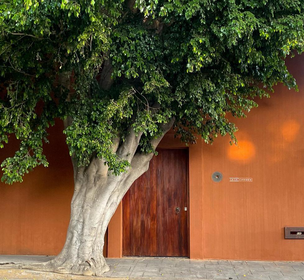 מלון Oaxaca Casa Carmen Reforma מראה חיצוני תמונה