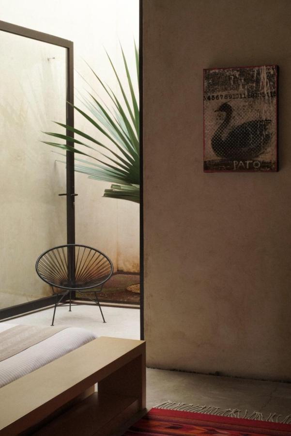 מלון Oaxaca Casa Carmen Reforma מראה חיצוני תמונה