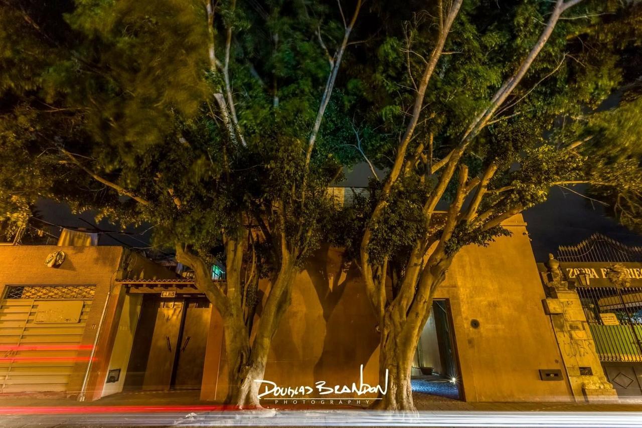 מלון Oaxaca Casa Carmen Reforma מראה חיצוני תמונה