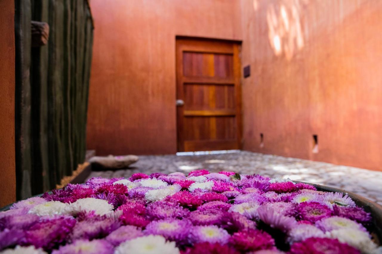 מלון Oaxaca Casa Carmen Reforma מראה חיצוני תמונה